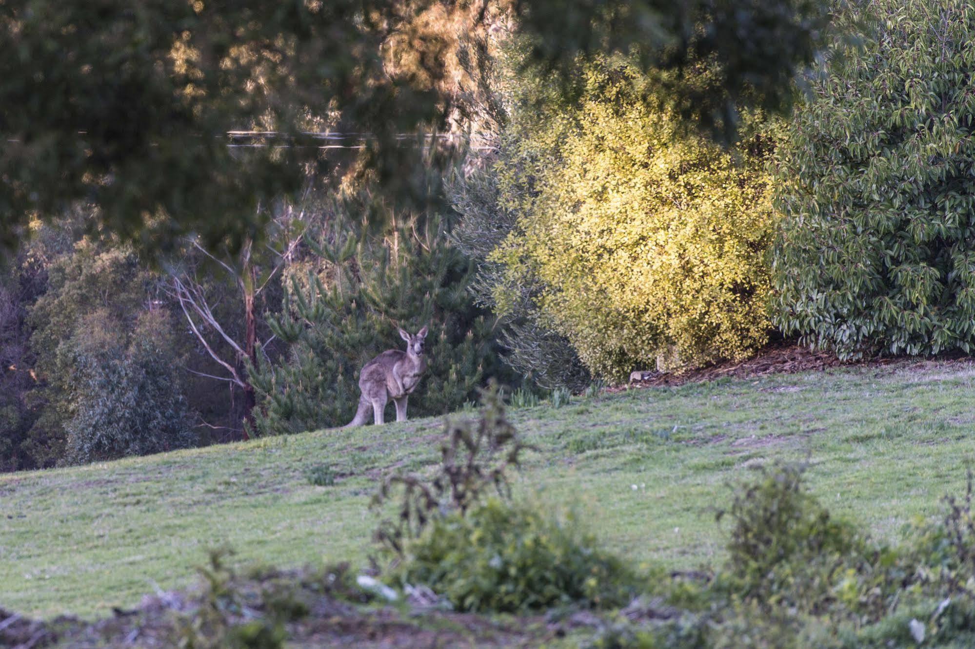 Macedon Ranges Hotel & Spa 외부 사진